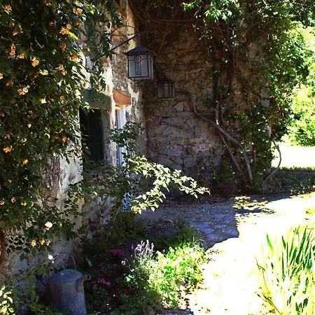 Du Grand Cedre - Occitanie *