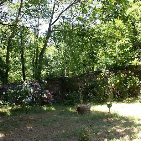 Du Grand Cedre - Occitanie Ferienhaus Campome