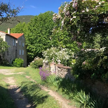 Du Grand Cedre - Occitanie