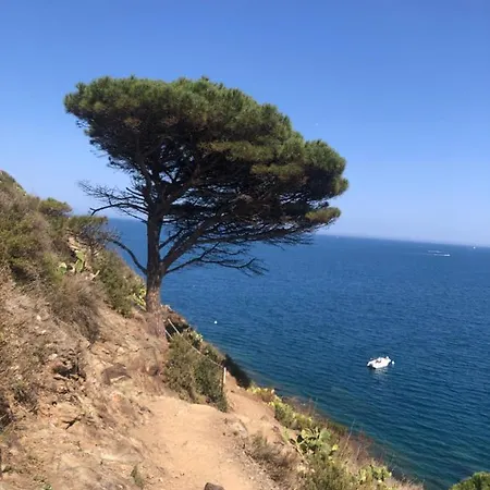 Holiday home Du Grand Cedre