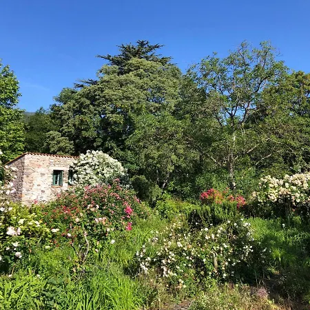 Holiday home Du Grand Cedre