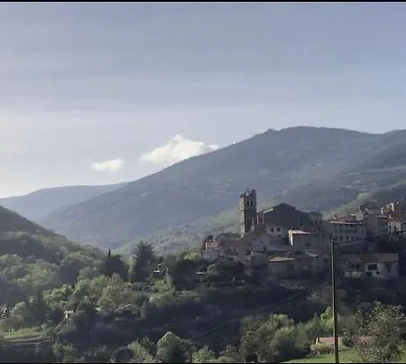 Du Grand Cèdre Campome