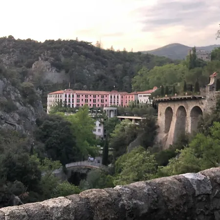 Du Grand Cedre - Occitanie