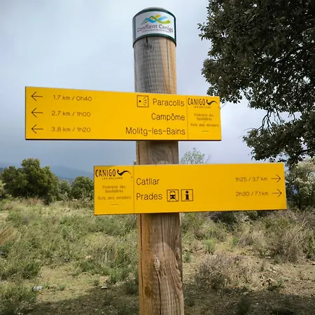 Du Grand Cedre Campome