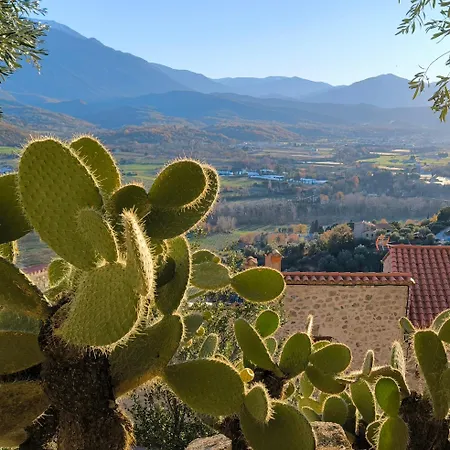 Du Grand Cedre - Occitanie