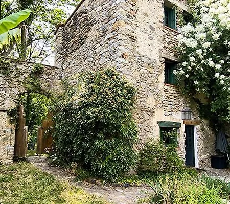 Du Grand Cedre - Occitanie Ferienhaus Campome