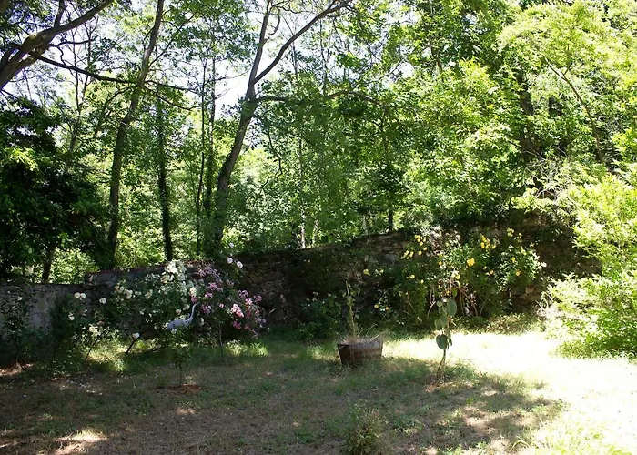 Du Grand Cedre Tatil Evi Campome