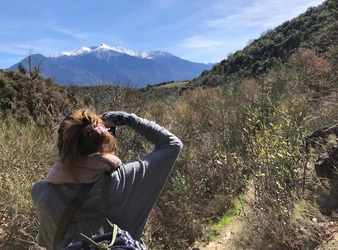 Du Grand Cedre Дом отдыха *