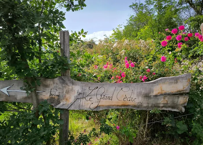 Du Grand Cedre Дом отдыха Campome